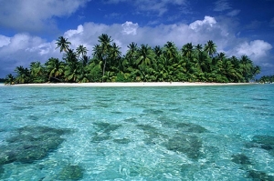 isole cocos