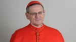 card. Amato